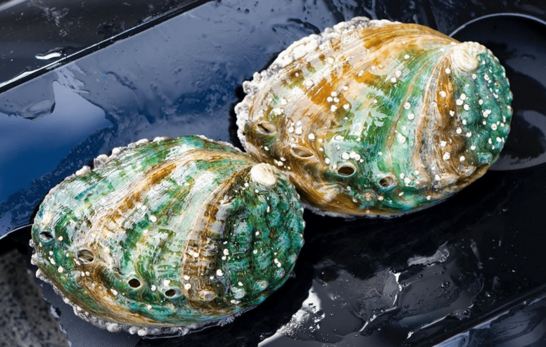 Giới thiệu dự án Green Seafood